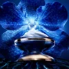 Die Longevity Light Cream