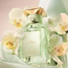 Eau De Lingerie – Eau de Toilette