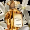 Jasmin Grandiflorum Extrait 30 – Extrakt