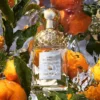 Mandarine Basilic – das Ritual der Düfte