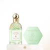 Rosa Verde – das Wohlfühlritual