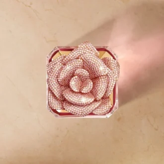 Rose Centifolia – Außergewöhnlicher Teller
