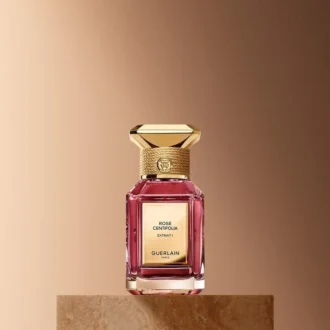 Rose Centifolia Extrait 1 – Extrakt